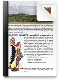 pdf-fil