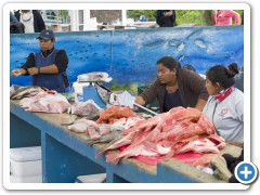 Galapagos fiskeudsalg