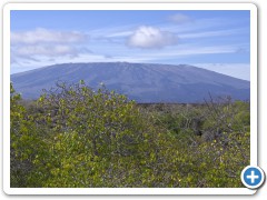 Galapagos vulkan lava