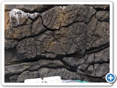 Galapagos vulkan lava