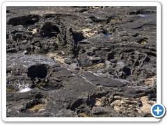 Galapagos vulkan lava