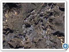 Galapagos vulkan lava