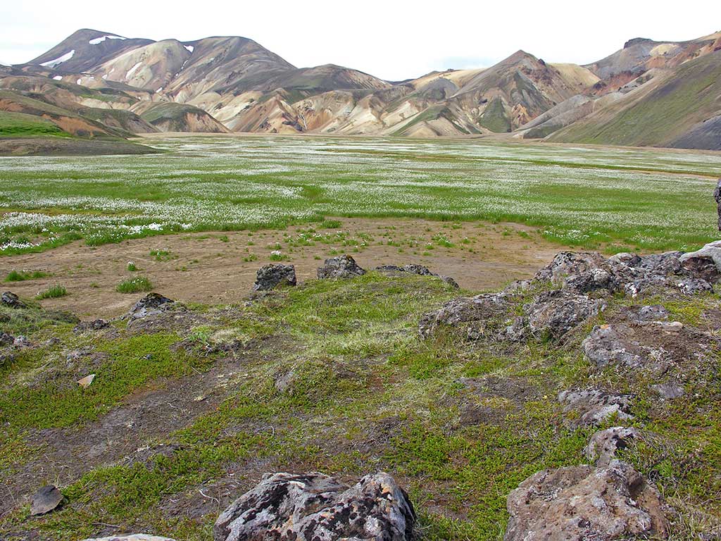 Hekla-forgaard-kaeruld.jpg